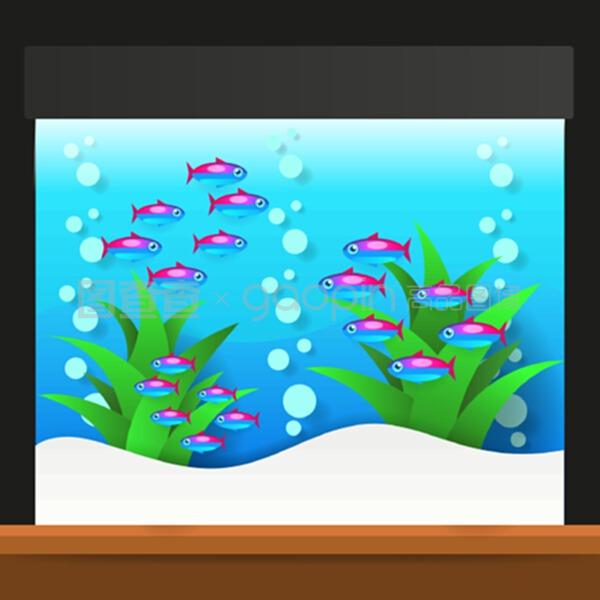 水族箱中的奇异淡水鱼 卡通世界的奇幻生物