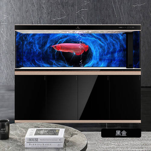 鱼麒麟活性菌与可丽爱超白水族箱 打造梦幻鱼缸生态新生活