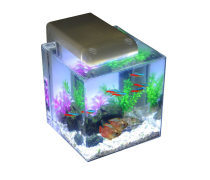 水族箱 家居中的一方灵动水域，如何打造与维护