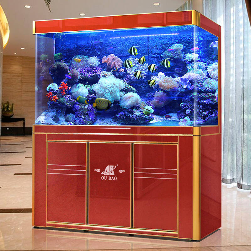 欧宝1.2米大型生态水族箱 一缸碧水，灵动空间的艺术