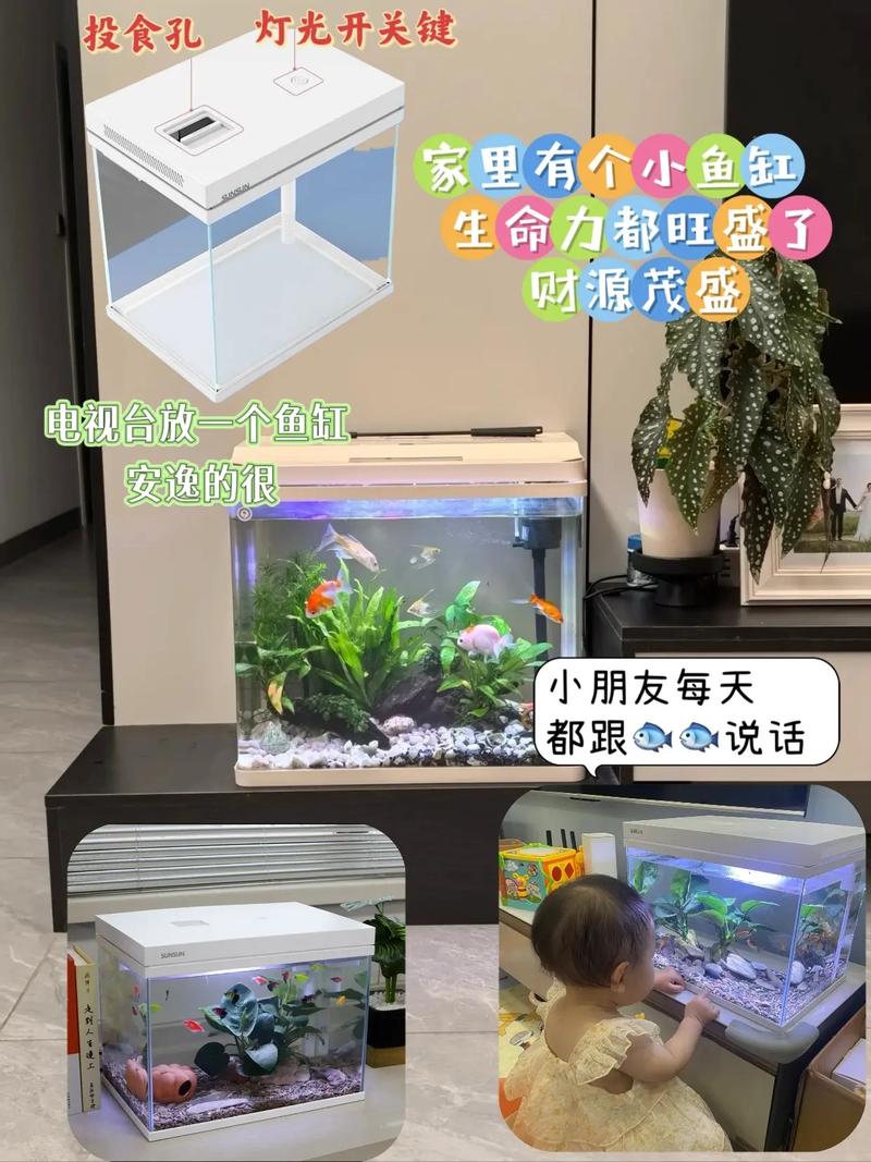 一方碧水间的自然盛宴 森森超白玻璃草缸生态鱼缸的格调与魅力