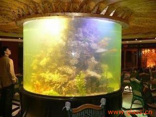 福州圆缸选购指南 价格、厂家与水族箱推荐