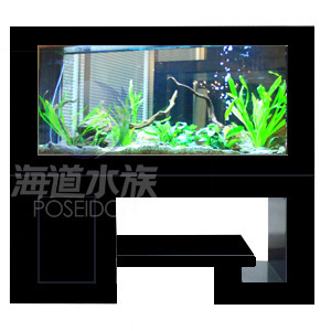 批发供应玻璃鱼缸、生态鱼缸及新式简约花架柜式鱼缸——保定海道水族科技