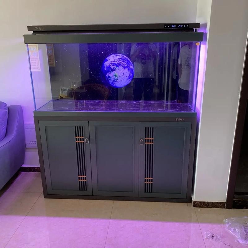 定州市南城区尹家庄 专业水族箱批发，打造水族爱好者首选地