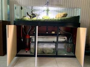 超白缸生态草缸 最新价格与选购指南